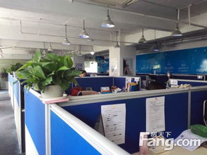 陆家嘴软件园写字楼出租 515平米正气户型，欢迎来电看房